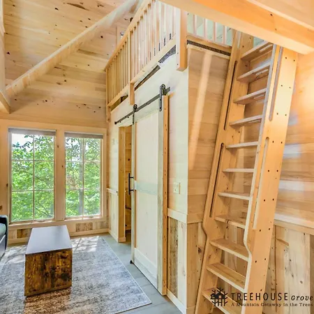 The Green Ash In Treehouse Grove At Norton Creek